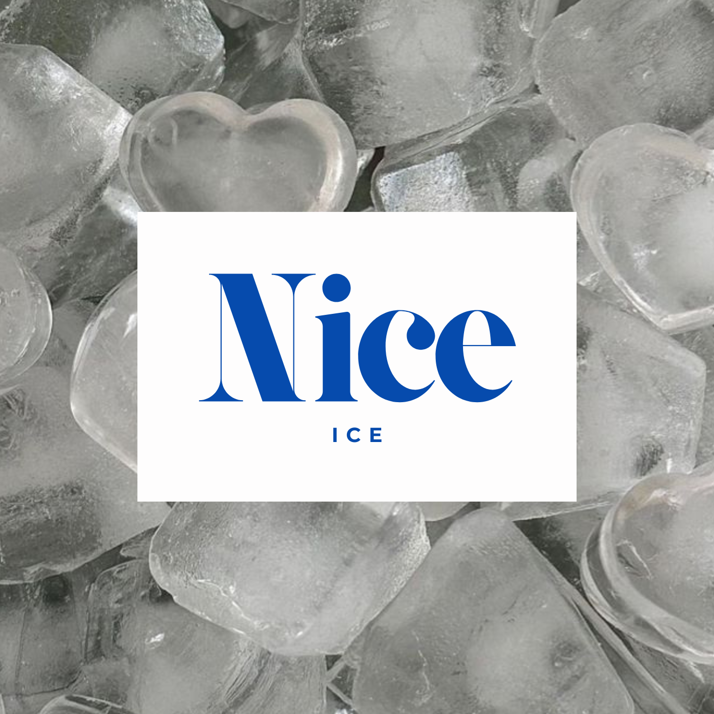 NICE Ice