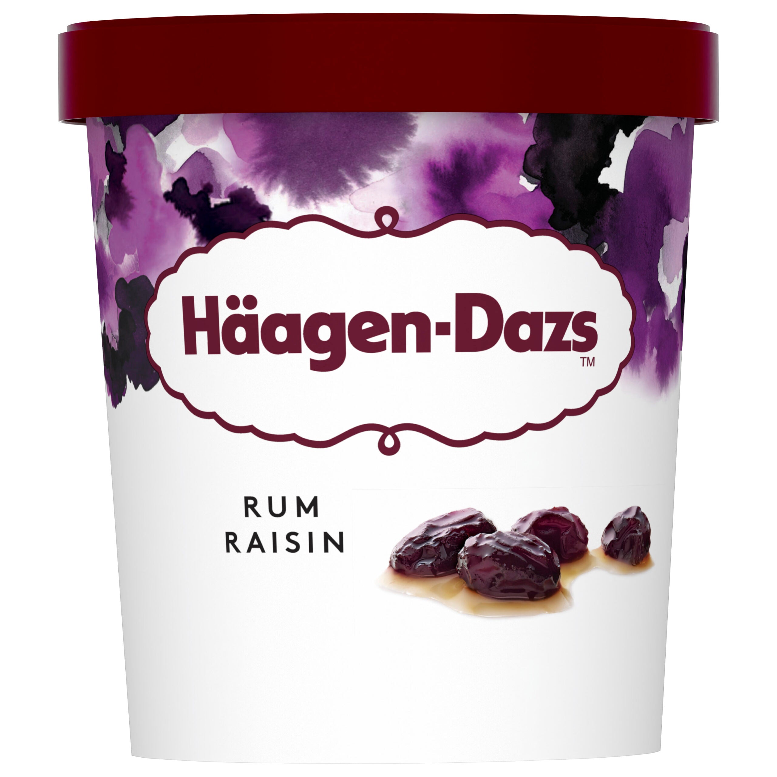 Häagen-Dazs Rum and Raisin