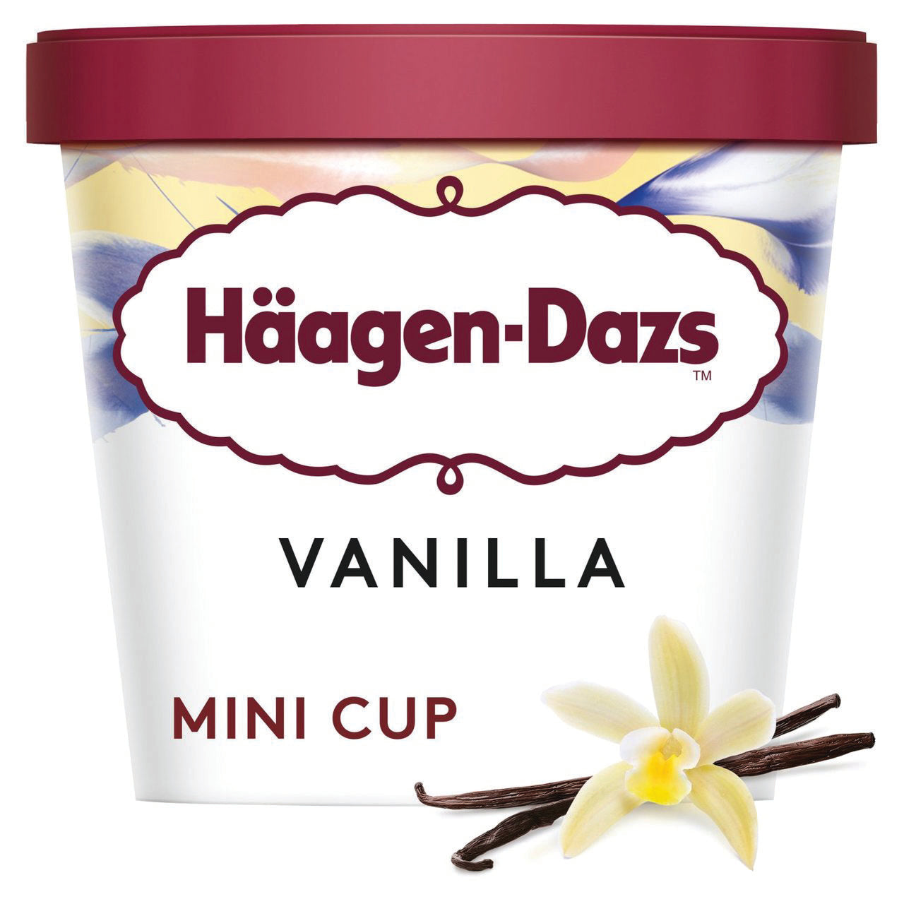 Haagen-Dazs Mini Vanilla Cup