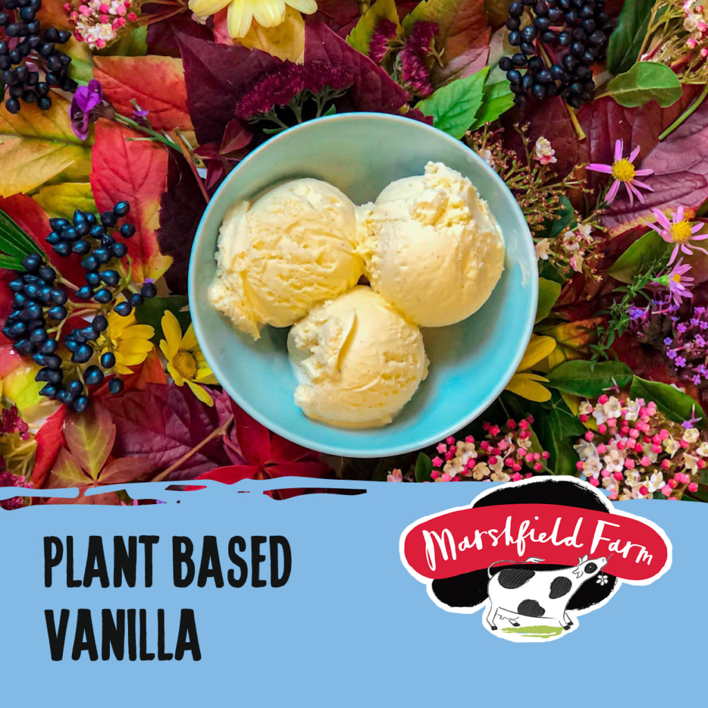 MARSHFIELD Plant Based Vanilla Ice Cream