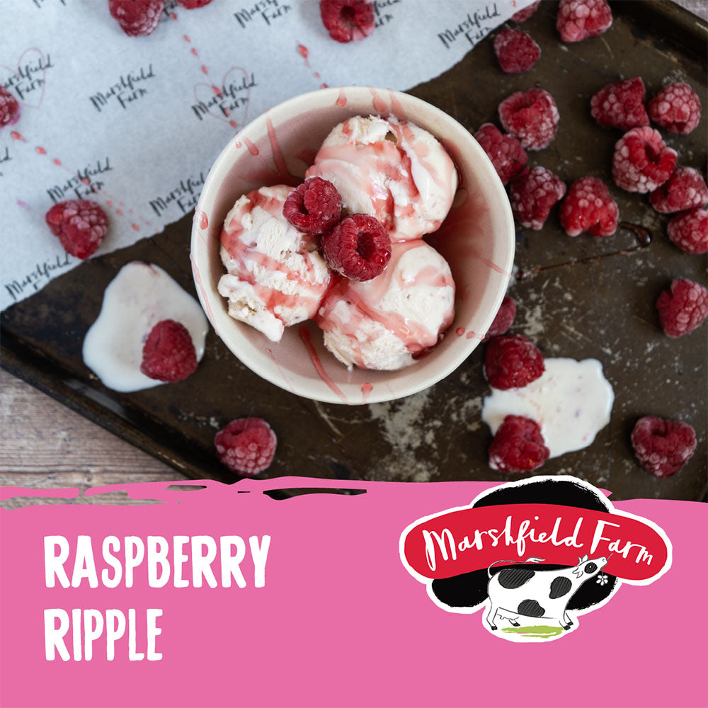 MARSHFIELD Raspberry Ripple Pavlova Ice Cream