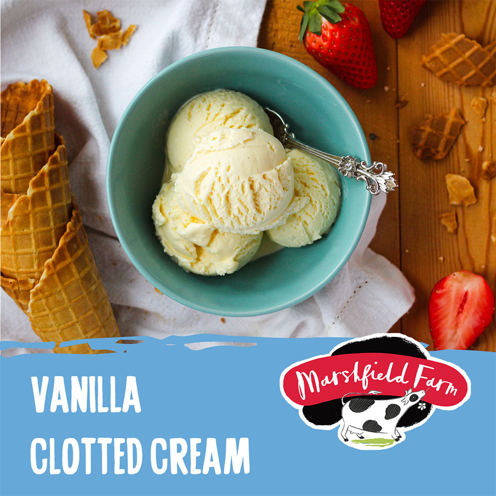 MARSHFIELD Vanilla Clotted Cream Ice Cream
