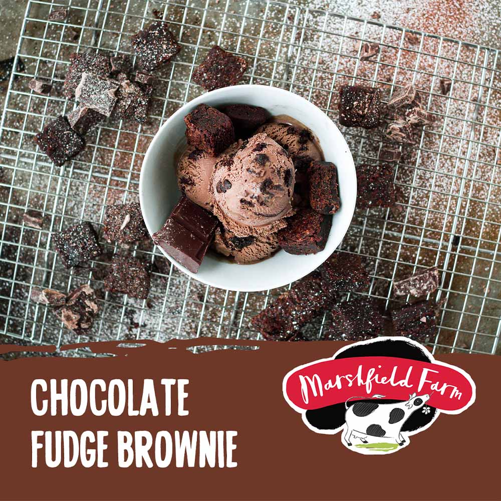 MARSHFIELD Chocolate Fudge Brownie Ice Cream