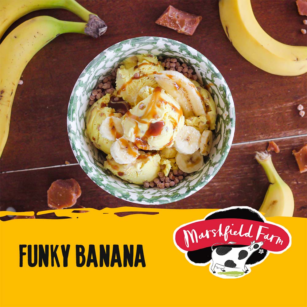 MARSHFIELD Funky Banana Ice Cream