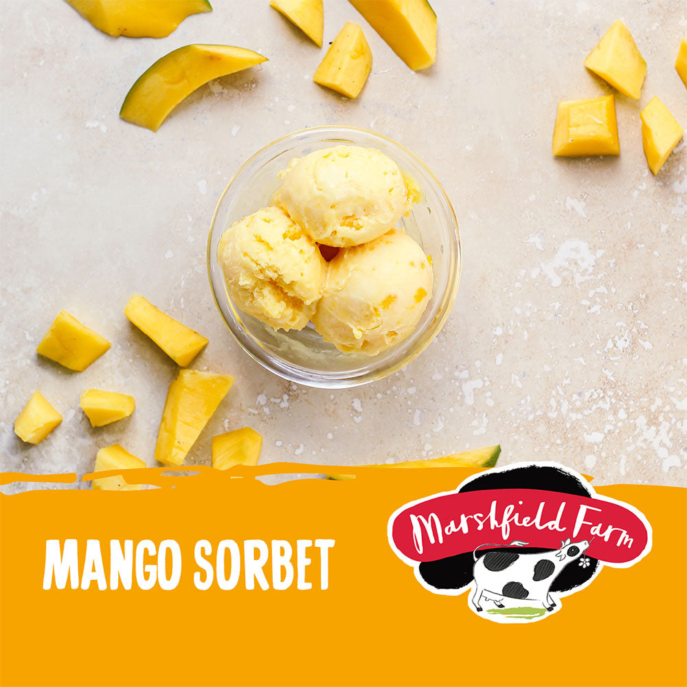 MARSHFIELD Vegan Mango Sorbet 2x2 4 lt
