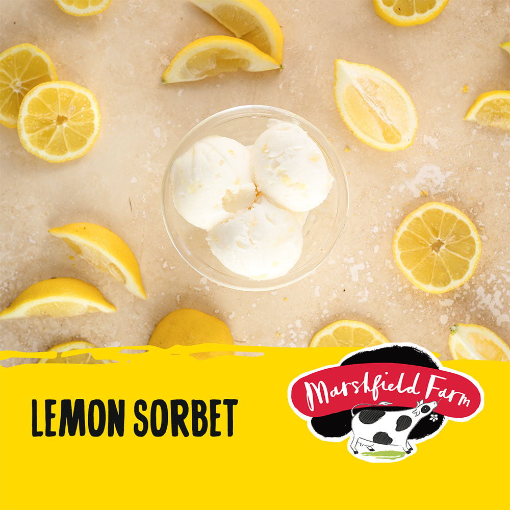 Lemon sorbet in a glass with lemon slices on a beige background, featuring Marshfield Farm logo.