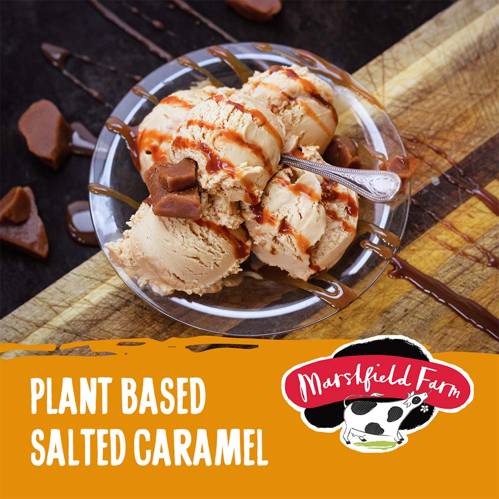 MARSHFIELD Plant Based Salted Caramel Ice Cream