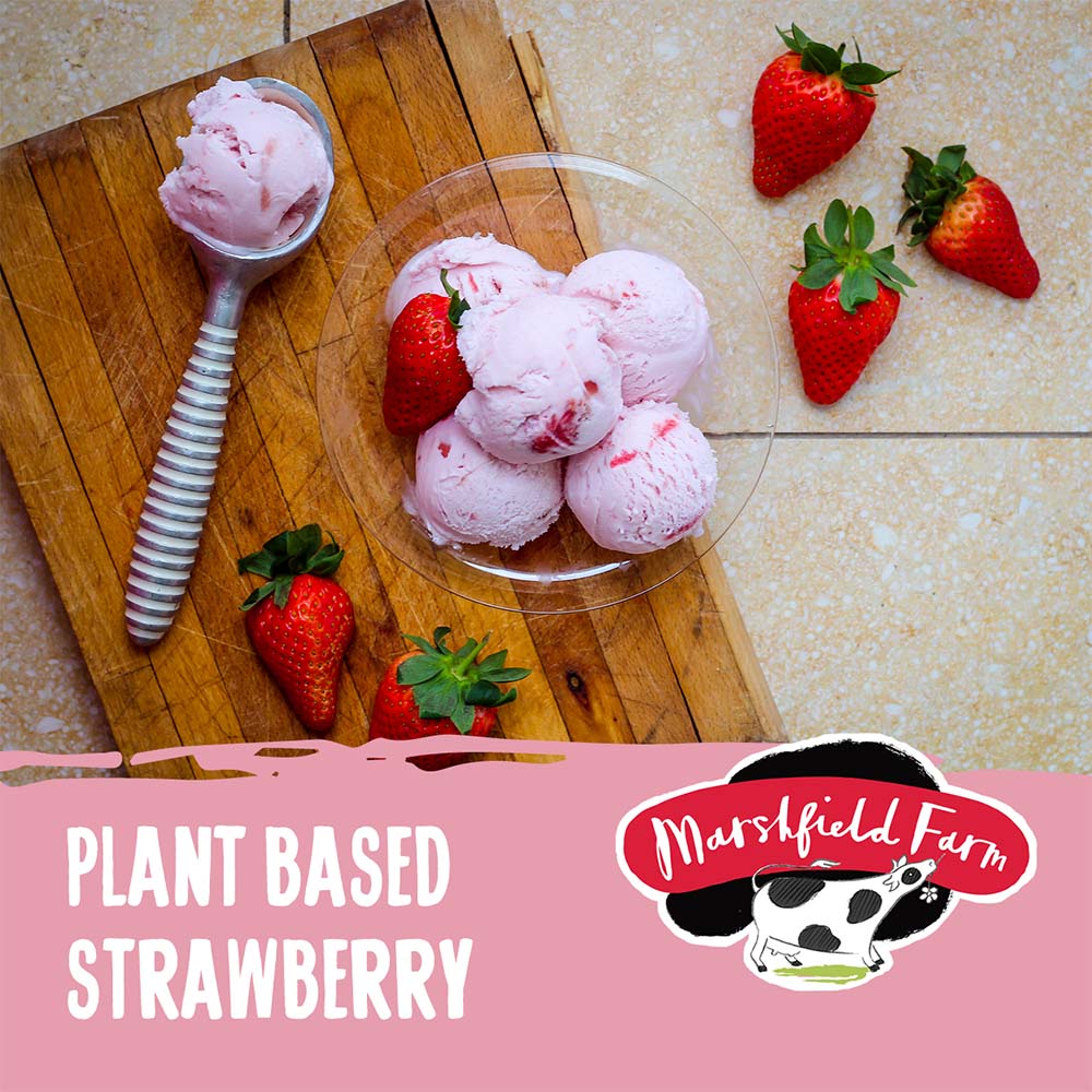 MARSHFIELD Plant Based Strawberry Ice Cream  2X2 4lt