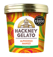 Hackney Gelato Mini Alphonso Mango Sorbet