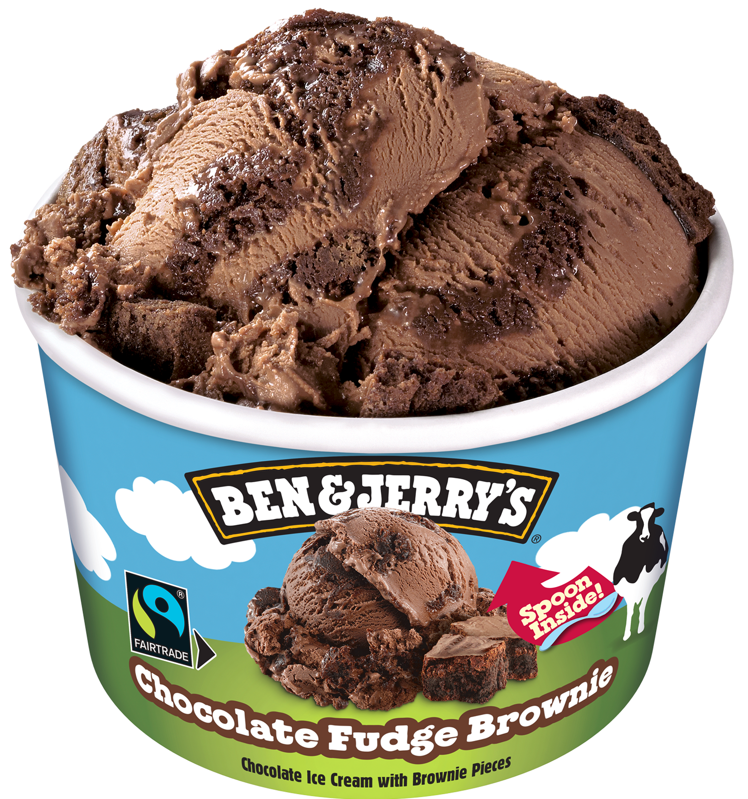 Ben & Jerry’s Mini Chocolate Fudge Brownie