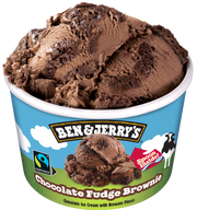 Ben & Jerry’s Mini Chocolate Fudge Brownie