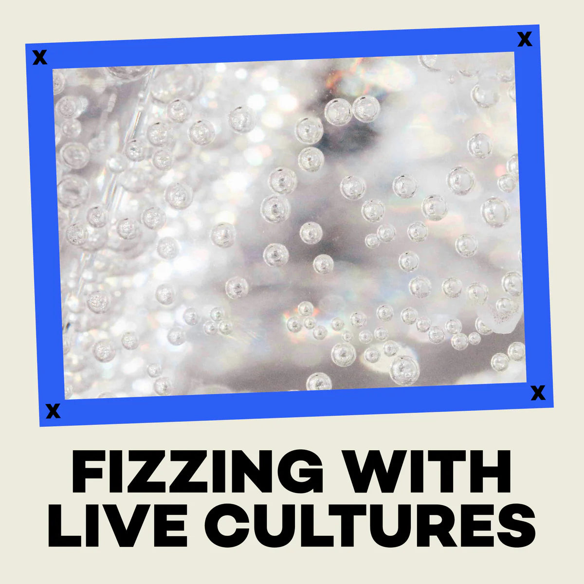 Hip Pop Blueberry Ginger Kombucha