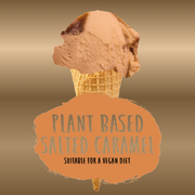MARSHFIELDS VEGAN PLANT BASED SALTED CARAMEL