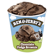 Ben & Jerry’s Chocolate Fudge Brownie - NICE WHOLESALE