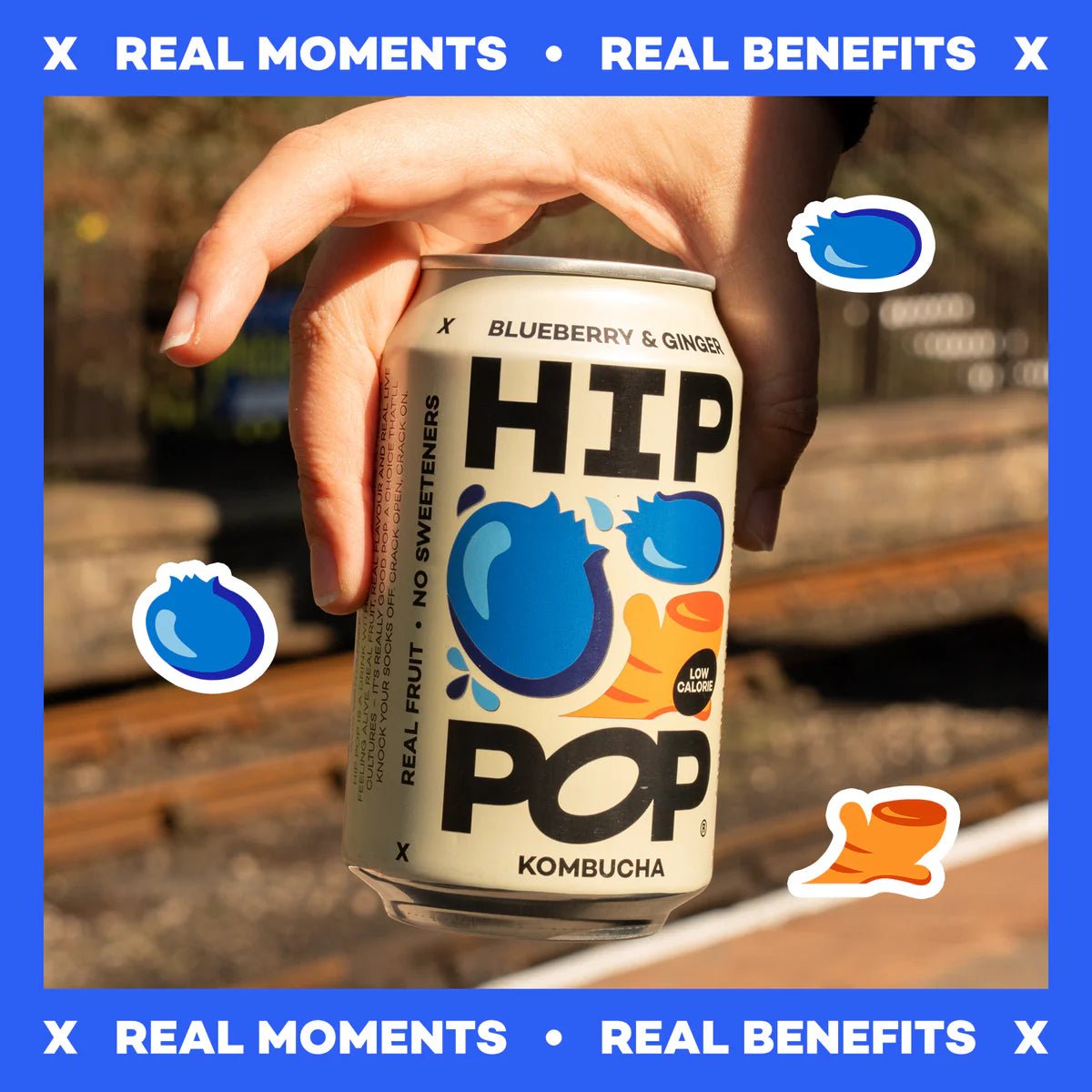 Hip Pop Blueberry Ginger Kombucha - NICE WHOLESALE
