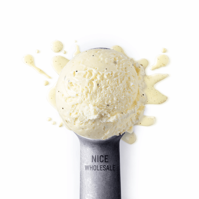 Marine Gelato Vanilla