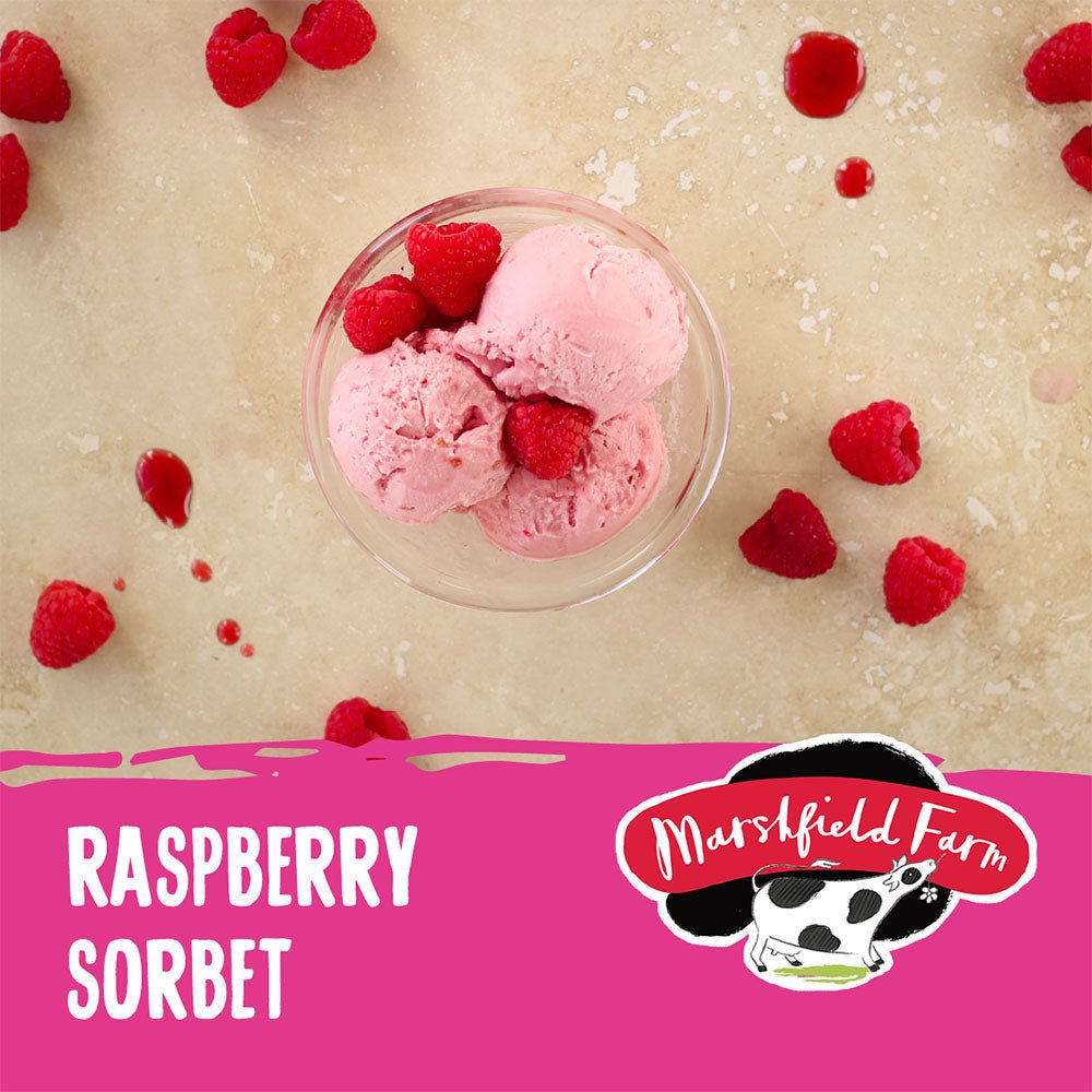 MARSHFIELD Vegan Raspberry Sorbet 2X2 4lt - NICE WHOLESALE